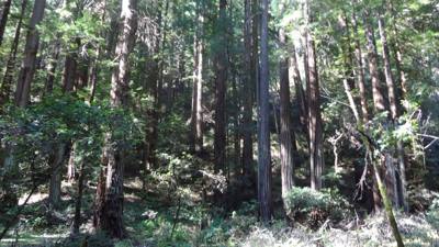 Travel photo