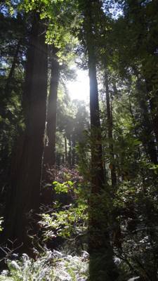 Travel photo