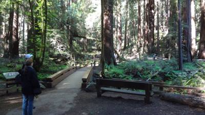 Travel photo