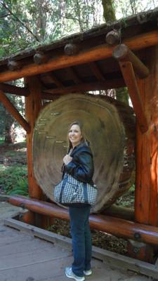 Travel photo
