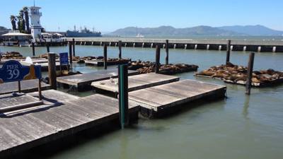 Travel photo